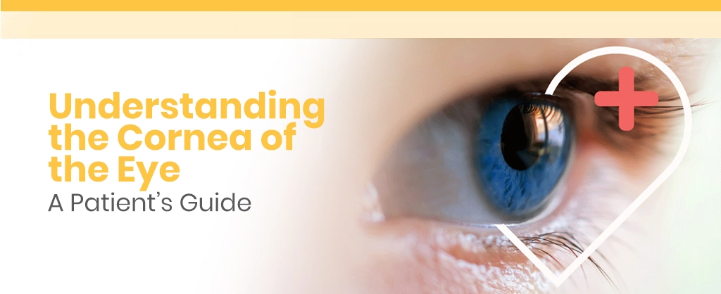 Understanding the Cornea of the Eye: A Patient’s Guide
